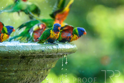 September 2023 / Wildlife_230929_Z9C6230