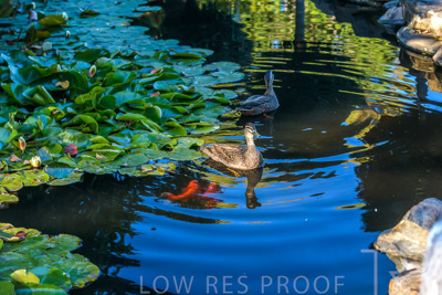 October 2023 / Wildlife_231011_85E2757