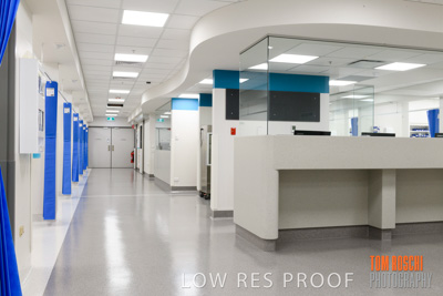 June 2018 / CHEESMAN_LMC_ED_180602_004