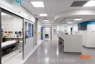 June 2018 / CHEESMAN_LMC_ED_180602_017