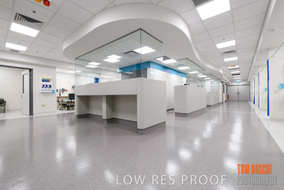 June 2018 / CHEESMAN_LMC_ED_180602_018