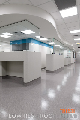 June 2018 / CHEESMAN_LMC_ED_180602_019