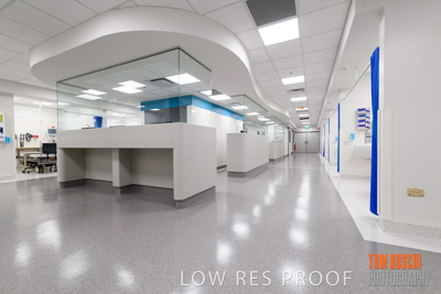 June 2018 / CHEESMAN_LMC_ED_180602_021