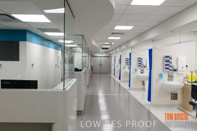 June 2018 / CHEESMAN_LMC_ED_180602_033