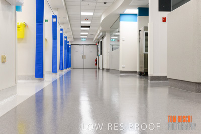 June 2018 / CHEESMAN_LMC_ED_180602_085