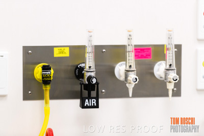 June 2018 / CHEESMAN_LMC_ED_180602_100