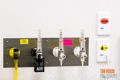 June 2018 / CHEESMAN_LMC_ED_180602_101