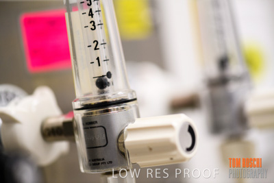 June 2018 / CHEESMAN_LMC_ED_180602_102