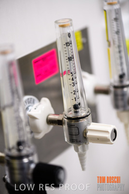 June 2018 / CHEESMAN_LMC_ED_180602_105