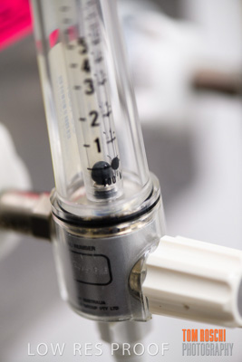 June 2018 / CHEESMAN_LMC_ED_180602_106