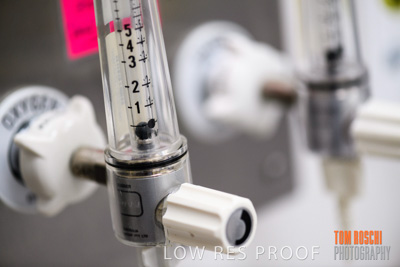 June 2018 / CHEESMAN_LMC_ED_180602_107