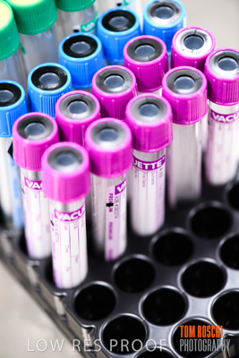 June 2018 / CHEESMAN_LMC_ED_180602_114