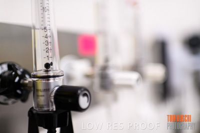 June 2018 / CHEESMAN_LMC_ED_180602_125