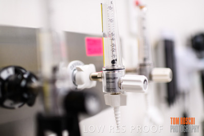 June 2018 / CHEESMAN_LMC_ED_180602_126