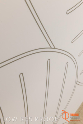 July 2018 / CHEESMAN_FMC_Neonatel_180718_082