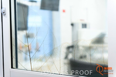 July 2018 / CHEESMAN_FMC_Neonatel_180718_100