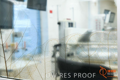 July 2018 / CHEESMAN_FMC_Neonatel_180718_101