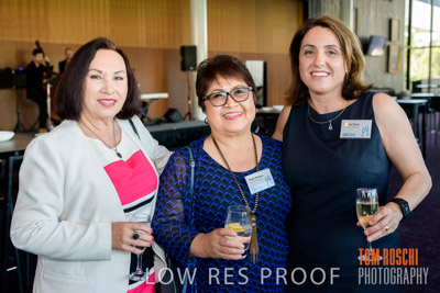 CHEESMAN_FUNCTION_191114_035