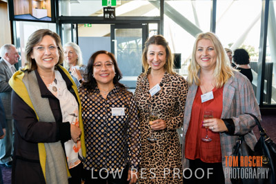 CHEESMAN_FUNCTION_191114_045