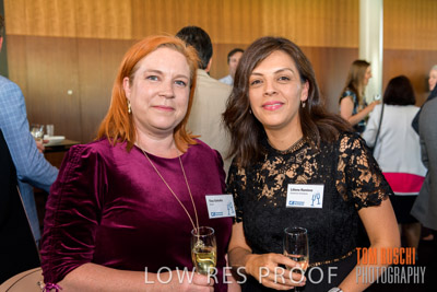 CHEESMAN_FUNCTION_191114_075