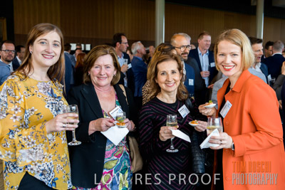 CHEESMAN_FUNCTION_191114_124