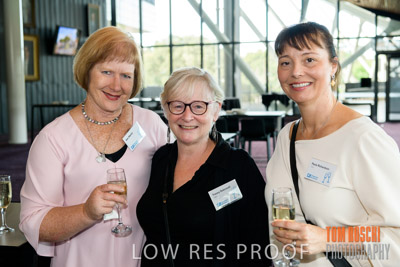 CHEESMAN_FUNCTION_191114_153