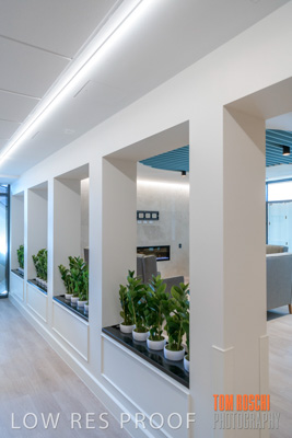 April 2020 / NECH_200406_017