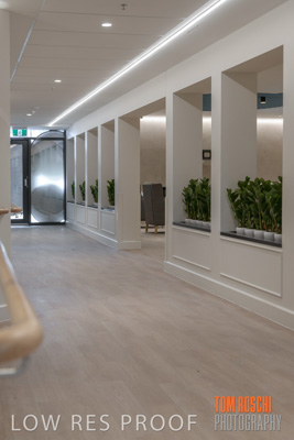 April 2020 / NECH_200406_056