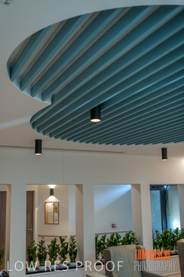 April 2020 / NECH_200406_068