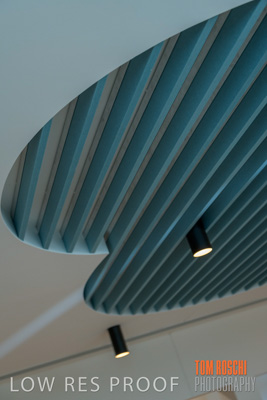 April 2020 / NECH_200406_069