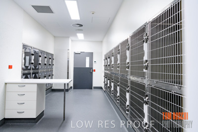 May 2020 / AWL_INTERIORS_109