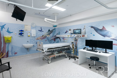 September 2021 / FMC-PED_025