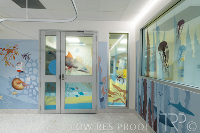 September 2021 / FMC-PED_026