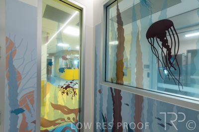 September 2021 / FMC-PED_027