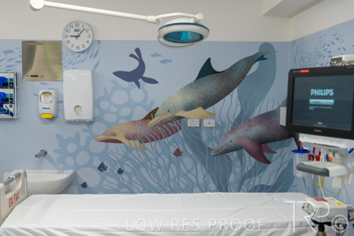 September 2021 / FMC-PED_034