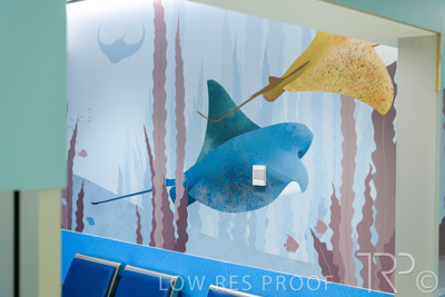 September 2021 / FMC-PED_036