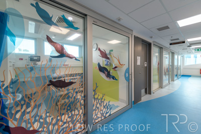 September 2021 / FMC-PED_039