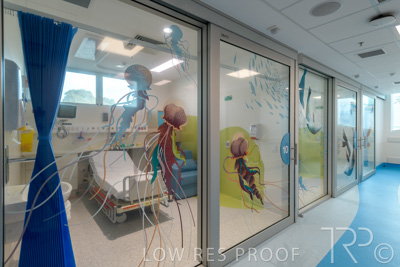 September 2021 / FMC-PED_041