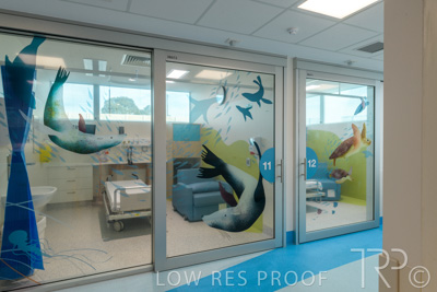 September 2021 / FMC-PED_043