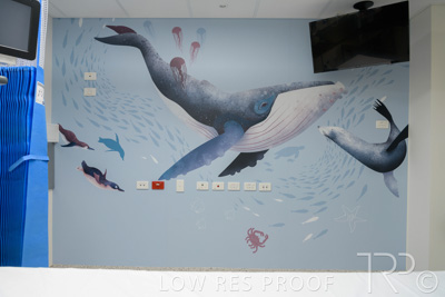 September 2021 / FMC-PED_051