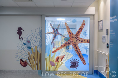 September 2021 / FMC-PED_053