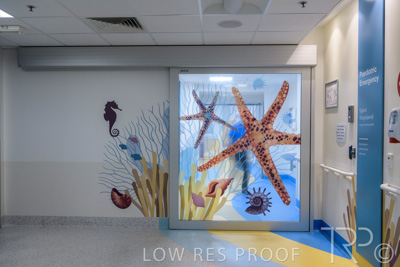 September 2021 / FMC-PED_054