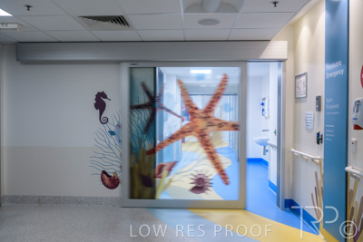 September 2021 / FMC-PED_055