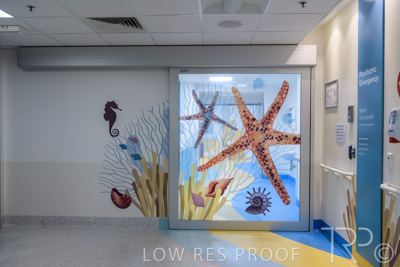 September 2021 / FMC-PED_056