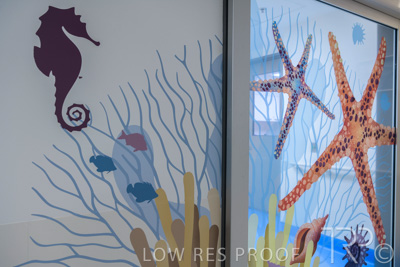 September 2021 / FMC-PED_058