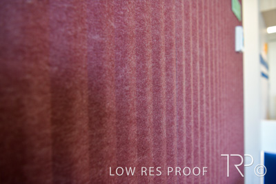 November 2021 / CHEESMAN_WINDSOR_211106_026