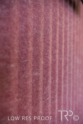 November 2021 / CHEESMAN_WINDSOR_211106_027