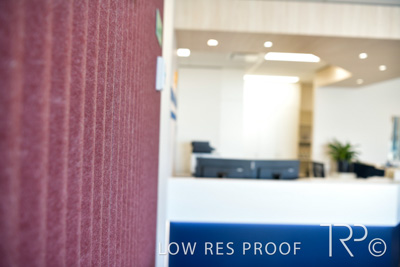 November 2021 / CHEESMAN_WINDSOR_211106_028