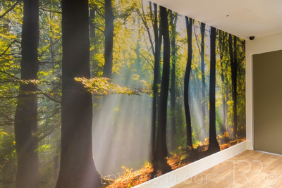 April 2022 / GLENSIDE-HDU-220427-031