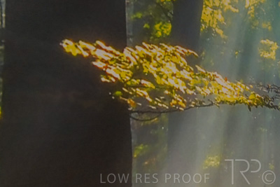 April 2022 / GLENSIDE-HDU-220427-032